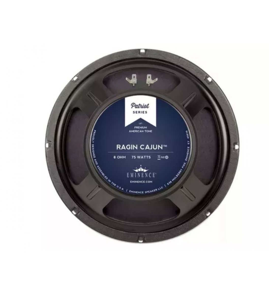 EMINENCE RAGIN Cajun Timbro sonoro: sound molto forte, sensibile al tocco e reattivo, con acuti squillanti e leggermente grintoso. Genere: American Rock, Blues e Country