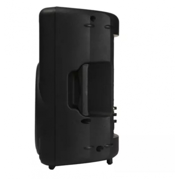 B210D Sistema di altoparlanti PA da 200 Watt a 2-Vie per applicazioni live e playback [B003BE157]