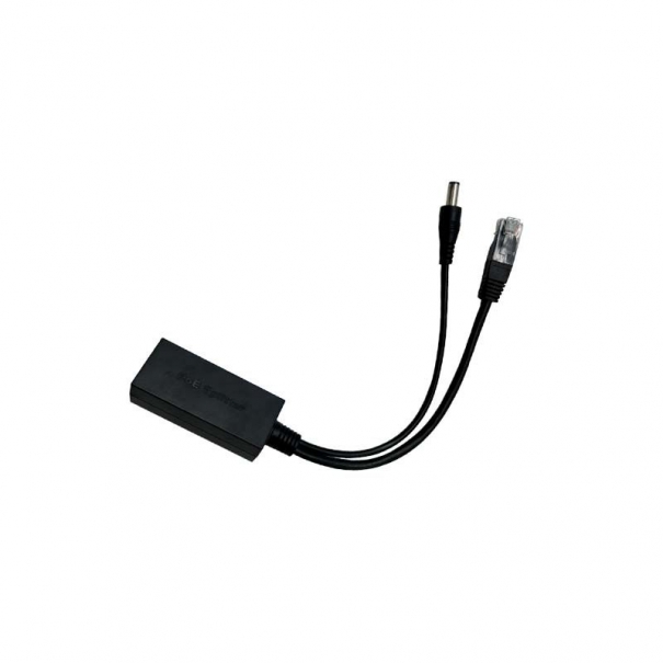 Renton Dante 2x2 PoE | 2in / 2Out