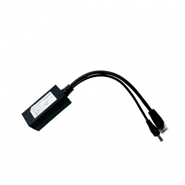Renton Dante 2x2 PoE | 2in / 2Out