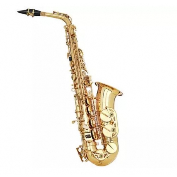 SAL700 SASSOFONO CONTRALTO LACCATO [B012GR459]