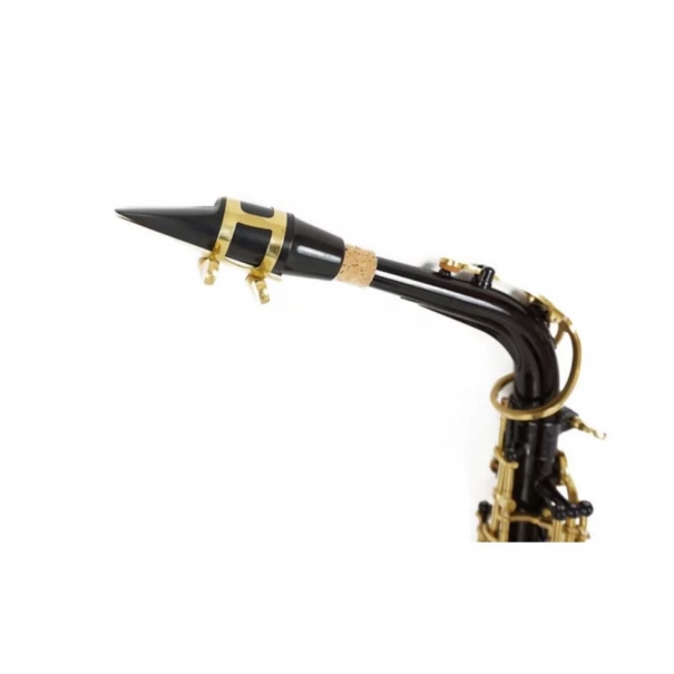 SAL700BK SASSOFONO CONTRALTO NERO CON CUSTODIA [B012GR461]