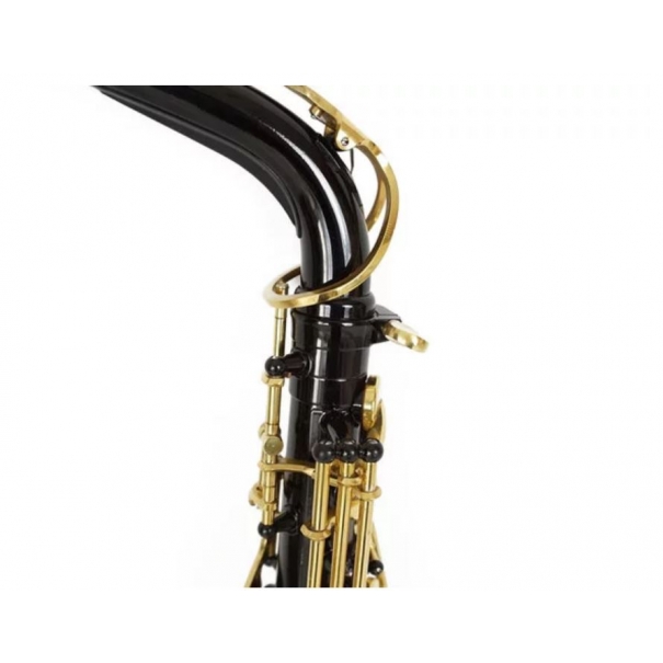 SAL700BK SASSOFONO CONTRALTO NERO CON CUSTODIA [B012GR461]