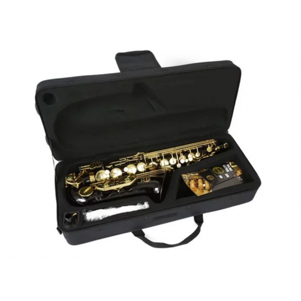 SAL700BK SASSOFONO CONTRALTO NERO CON CUSTODIA [B012GR461]