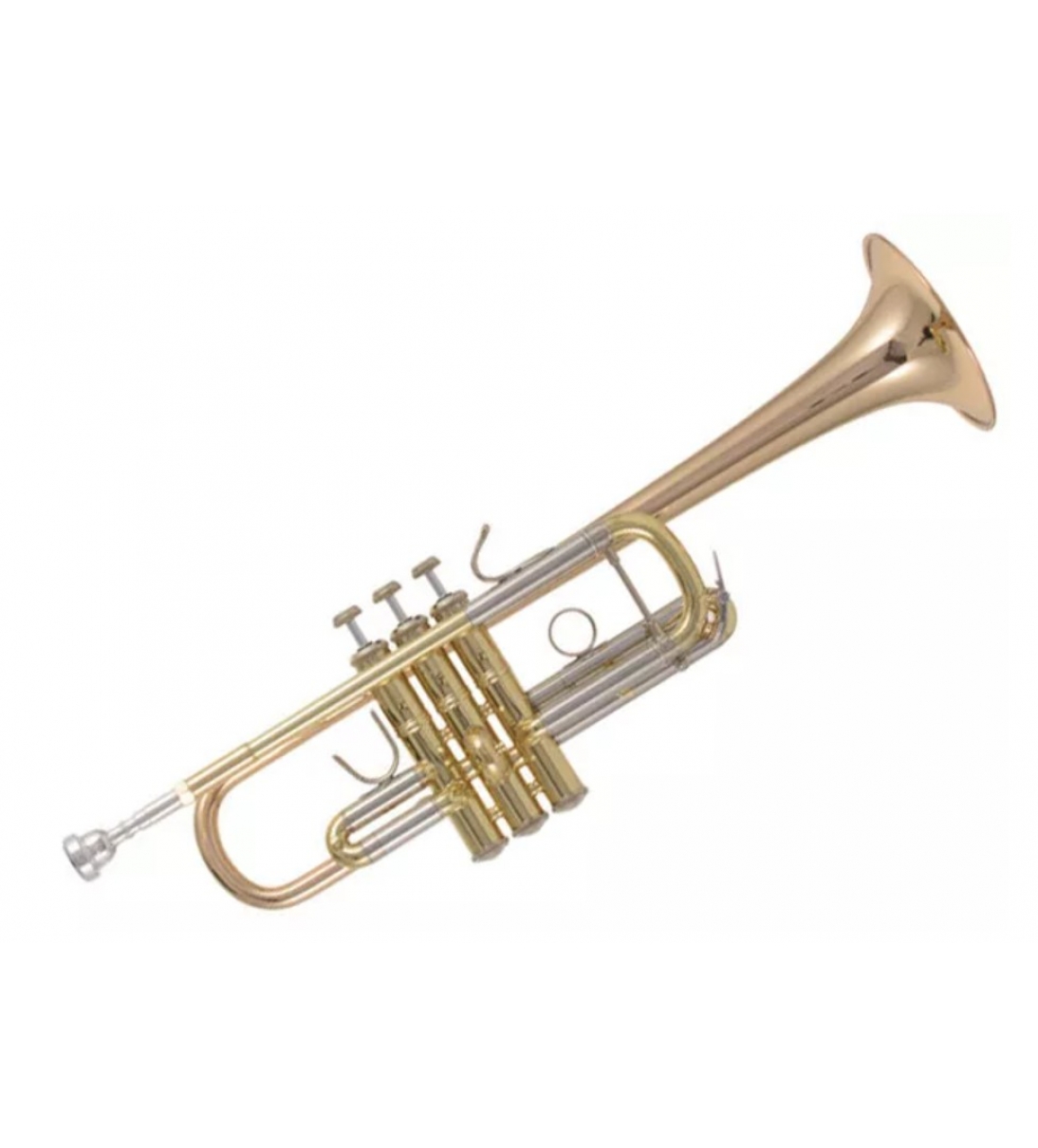 C180L 239G 25C   (Prezzo valido solo con acquisto On Line) - BACH 