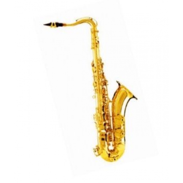 Sax Alto DAM completo di custodia