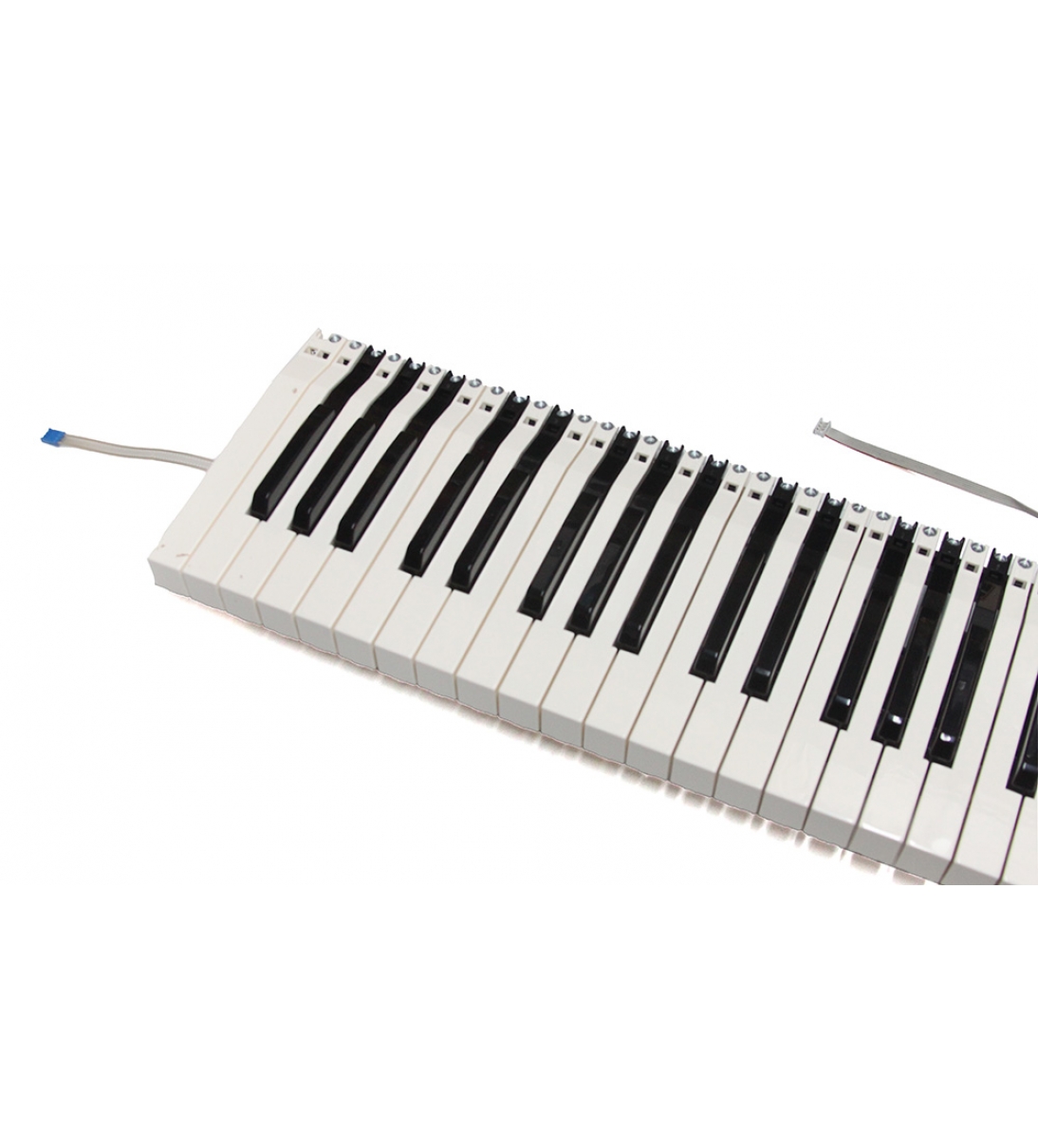 KeyBed per tastiera Nord a 73 tasti (Nord 49598)