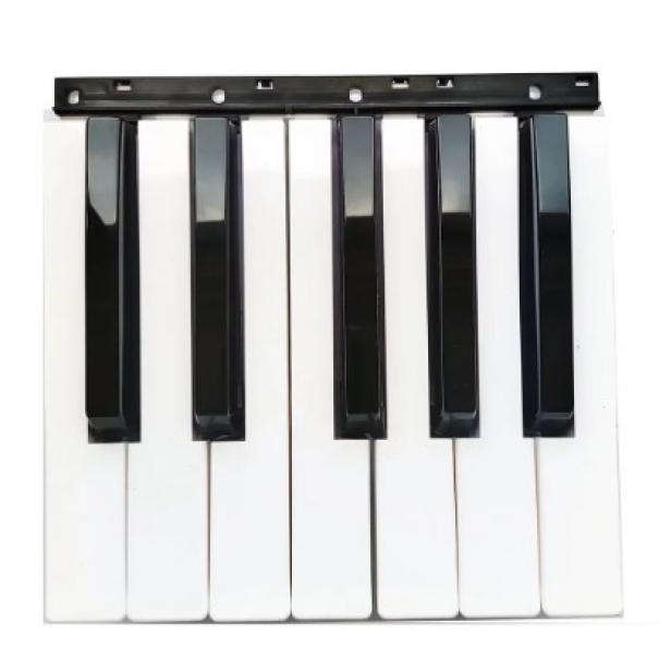 Ottava di ricambio per Korg PA900 ,PA1000, Krome 61, 73 - 12 note