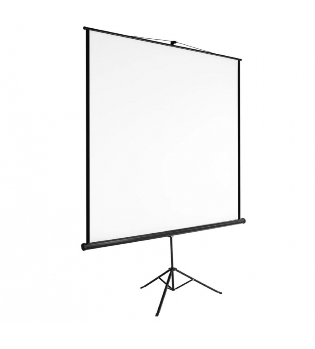 Schermo a treppiede 203 x 203 cm [402515]