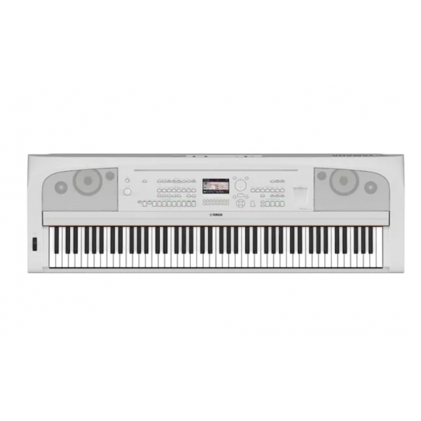 DGX-670 White 