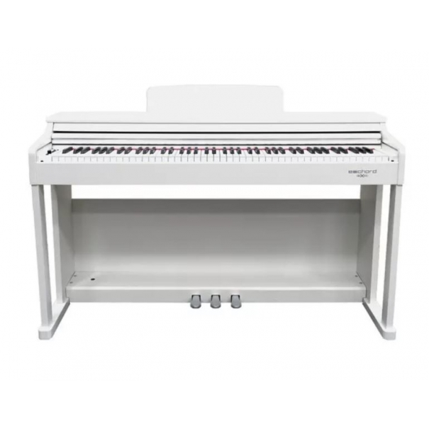 ECHORD DPX100 Satin White 