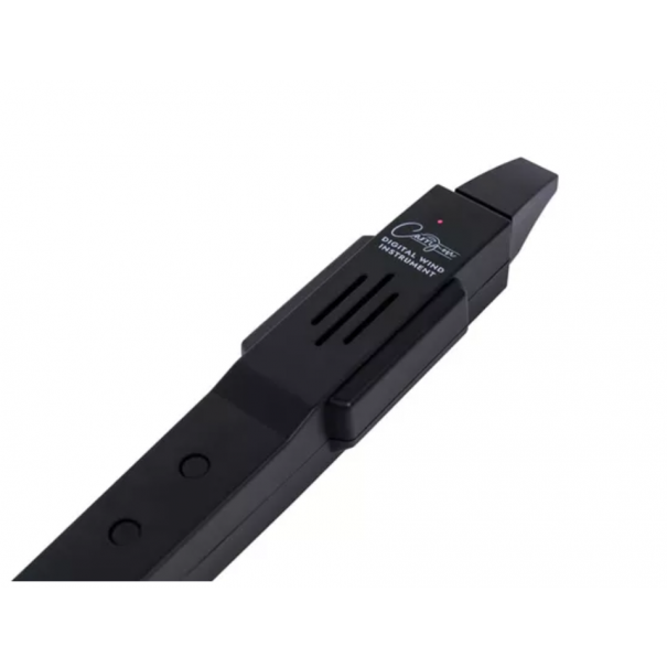 CARRY ON Digital Wind Instrument Black