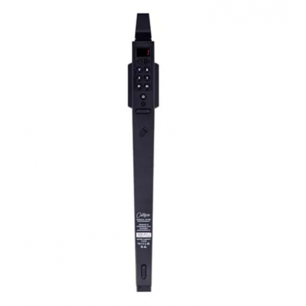 CARRY ON Digital Wind Instrument Black