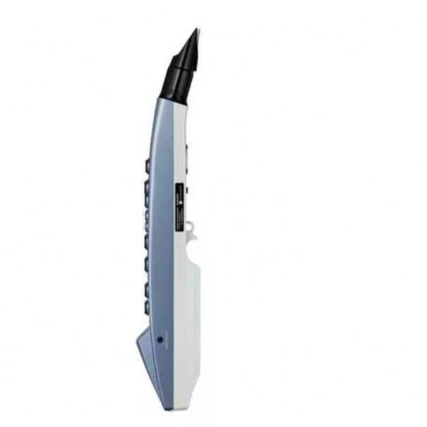 ROLAND AE-01 Aerophone mini