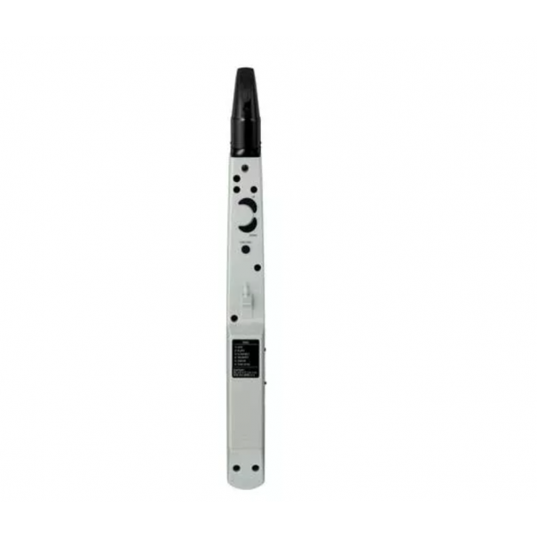 ROLAND AE-01 Aerophone mini