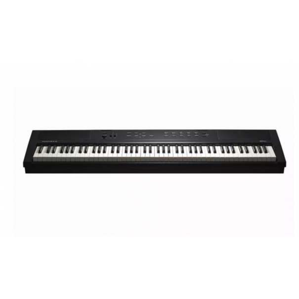 KaE1 Black