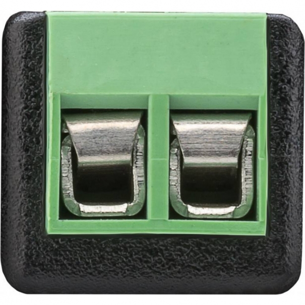 Adattatore Terminal Block 2 pin a DC Femmina (5.50 x 2.10 mm) [B006WB910]