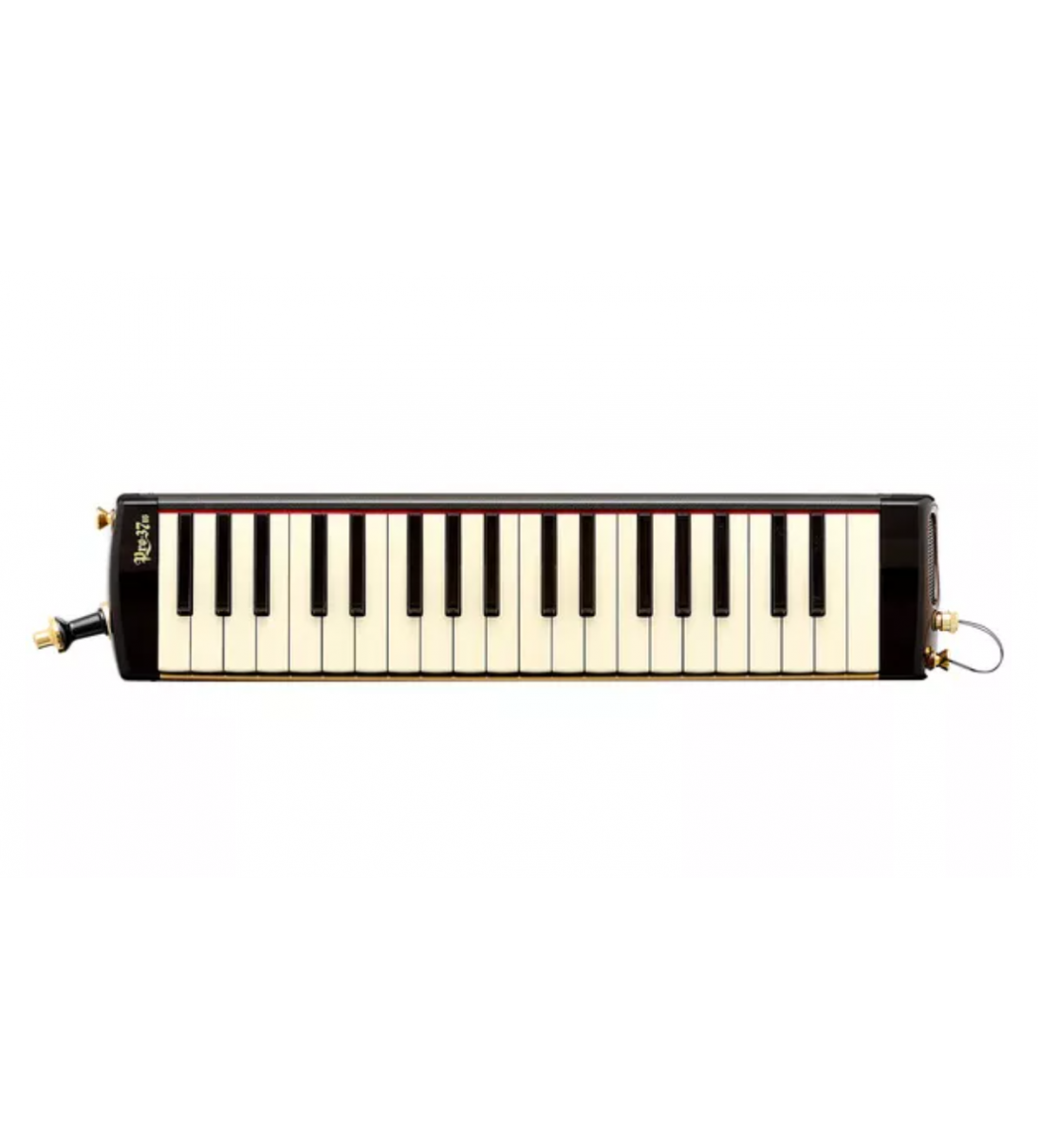Pro37v3 Professional Alto Melodion MELODICA ALTO 37 TASTI NERA