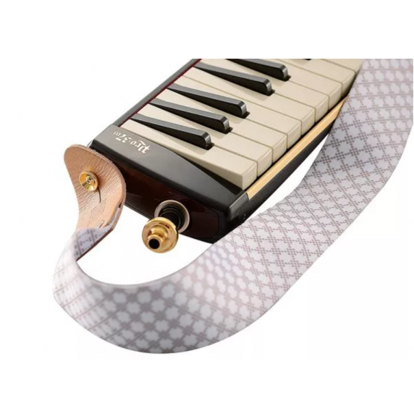 Pro37v3 Professional Alto Melodion MELODICA ALTO 37 TASTI NERA
