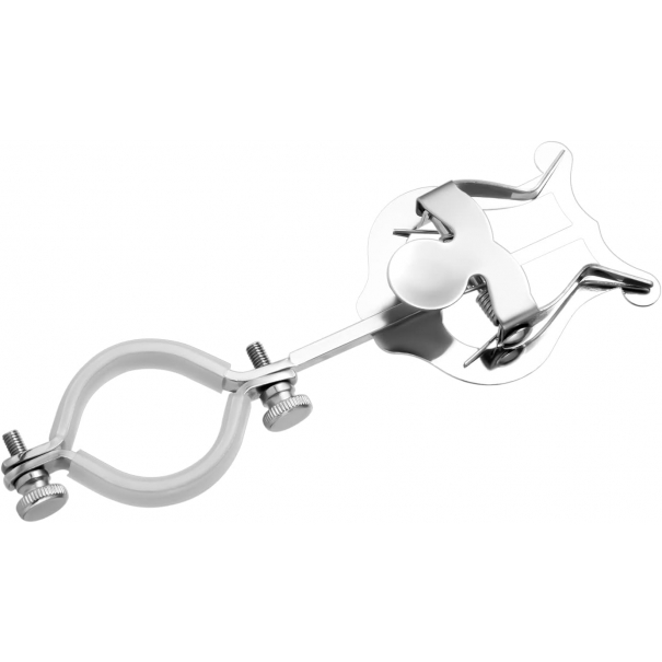 Clip per Spartiti per Clarinetto, Letturino Clarinetto Clip per Musica con Lira per Clarinetto B0BHYJYDKP