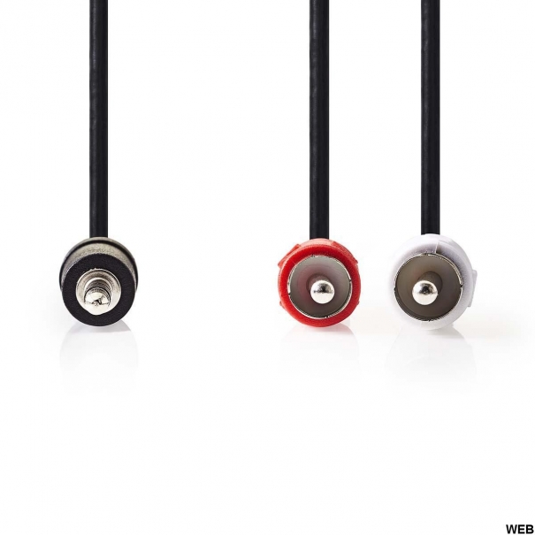 Cavo Audio Stereo - Maschio da 3,5 mm - 2x Maschio RCA - 1.5 m - Nero [ND179]