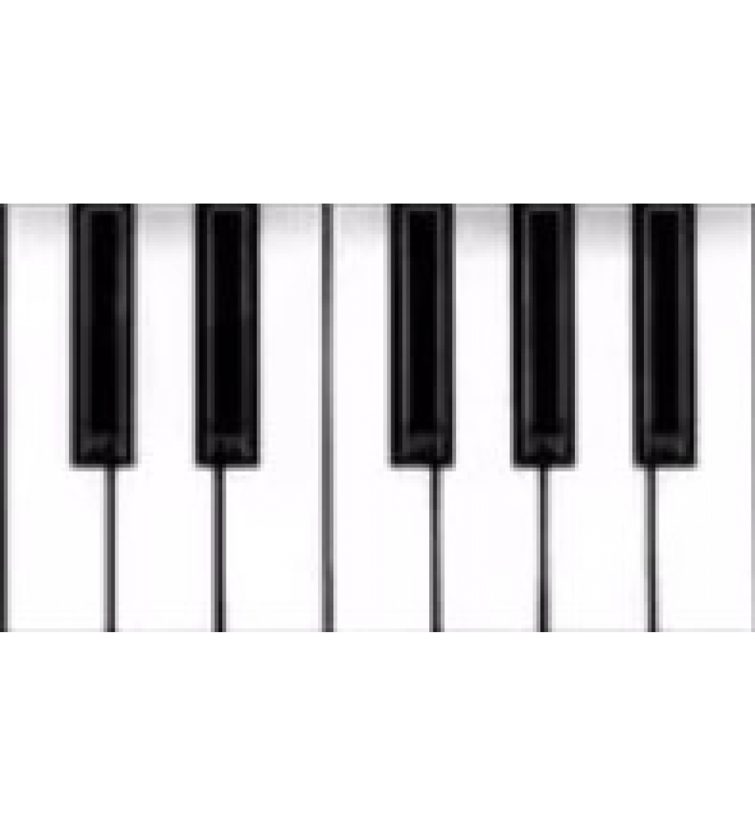 Ottava da DO a SI per tastiera Mini Casio SA