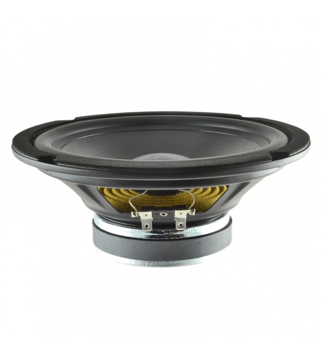 WOOFER 8" 80W 4Ω 91,9dB x Chitarra acustica - SR JAM 150