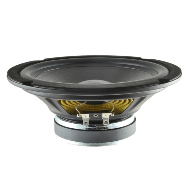 WOOFER 8" 80W 4Ω 91,9dB x Chitarra acustica - SR JAM 150