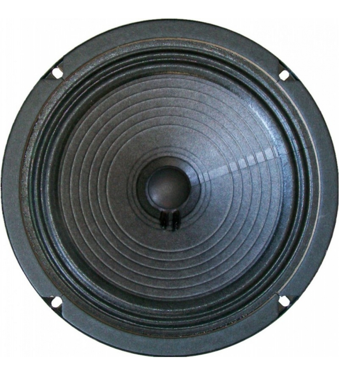 JENSEN C8R WOOFER 8" 50W MAX 8Ω [JEN-ZJ04020]