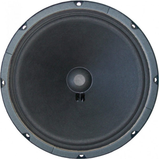 JENSEN P10Q WOOFER 10" ALNICO 80W MAX 8Ω [JEN-ZJ05110]