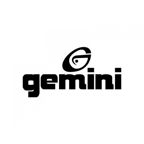 Gemini