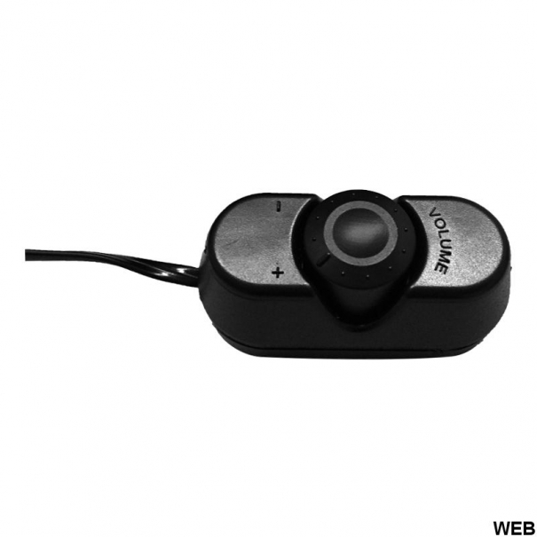 Subwoofer attivo piatto Slim 10" 600W max SP434