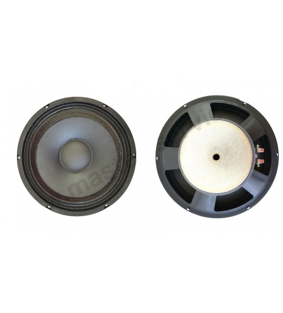 Woofer per TX10 / TX210 [SPALPSPKR0004]