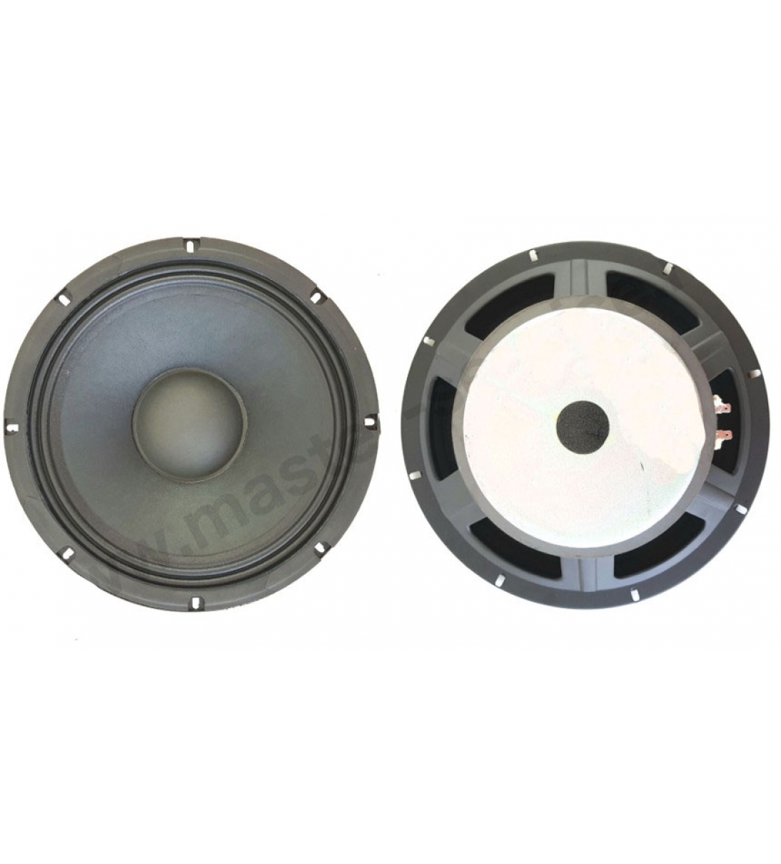 Woofer per TS312 [SPALPSPKR0009]
