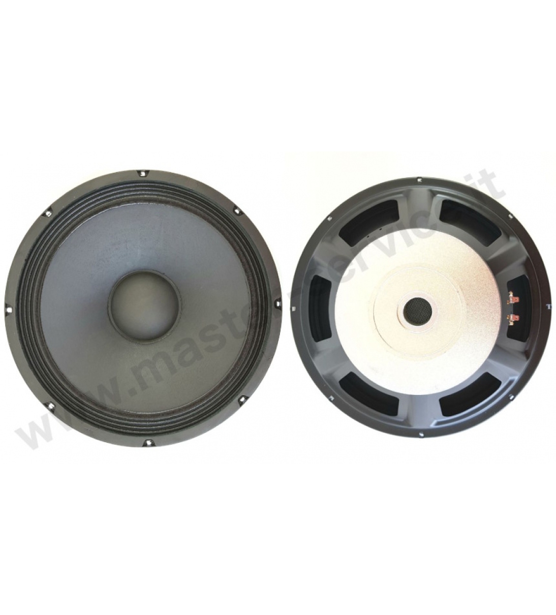 Woofer per TS 215S SUB