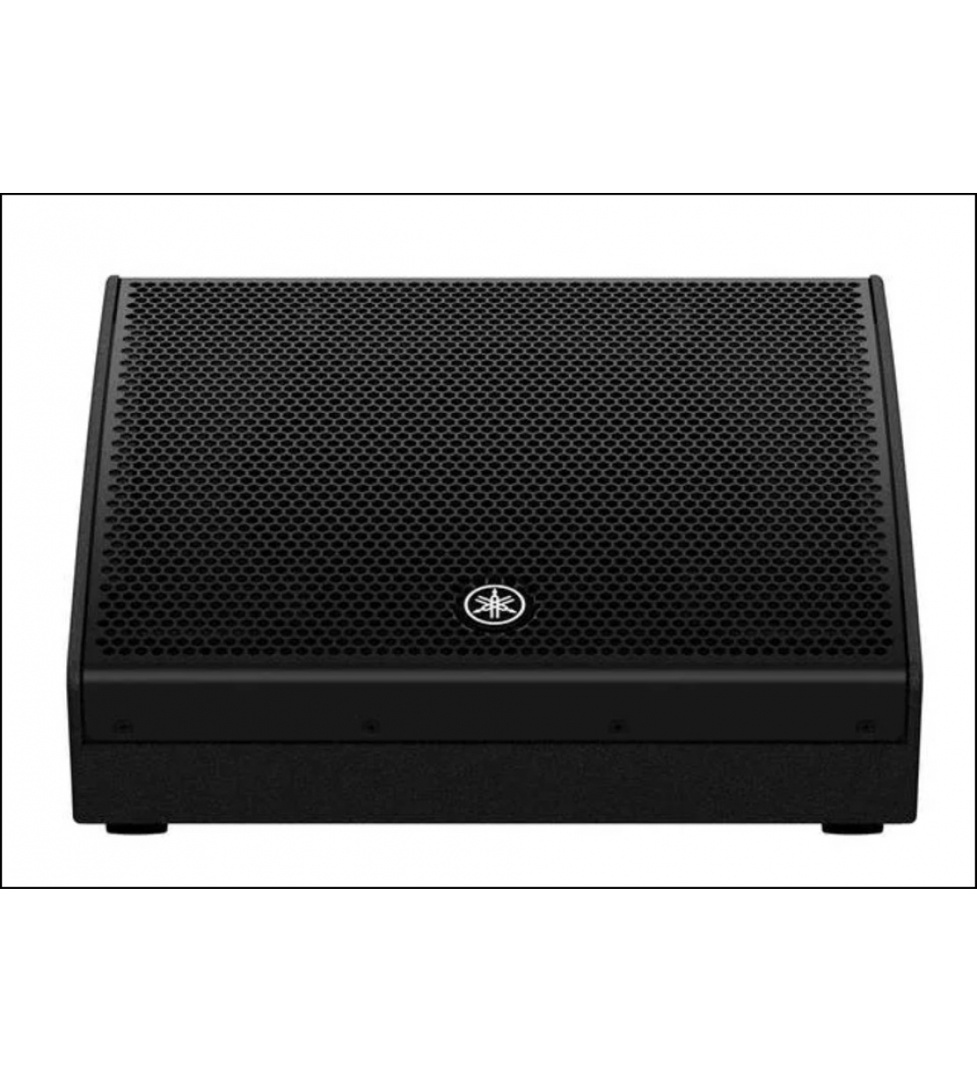 DHR12M MONITOR DA PALCO 12" 1000W