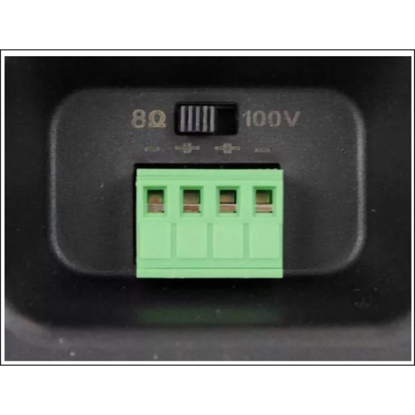 BC30V Black (coppia) COPPIA DI DIFFUSORI DA INTERNO ED ESTERNO 3" 60W 100V