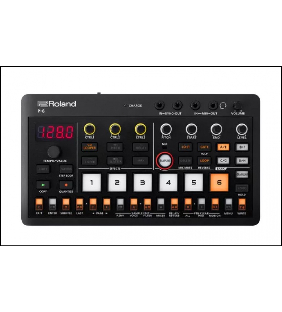 ROLAND P-6