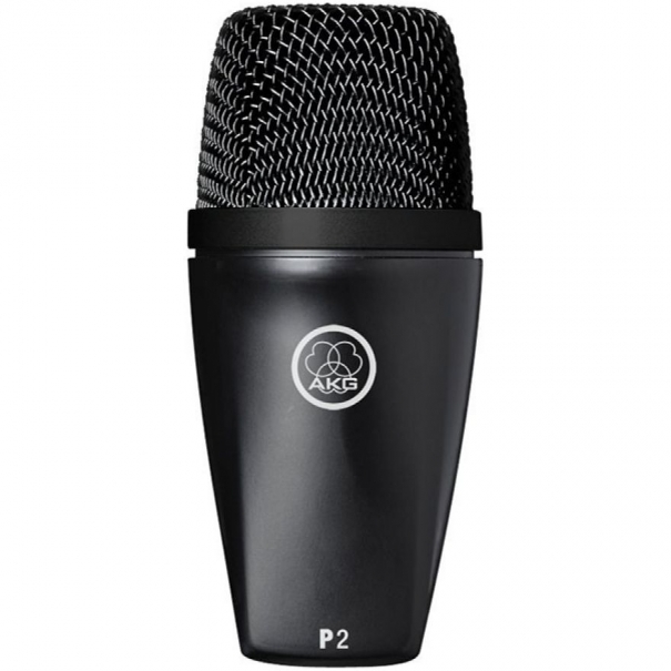 P2 Microfono dinamico per grancassa