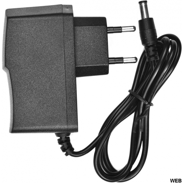 Alimentatore 12V 500 mAh