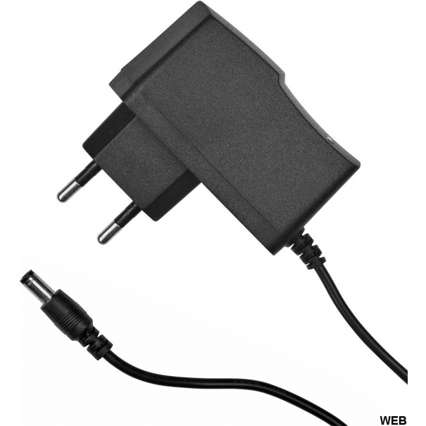 Alimentatore 12V 500 mAh