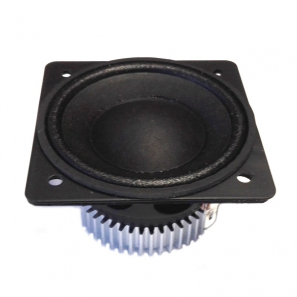 Fullrange 2" 8 Ohm per colonnine EVOX J8
