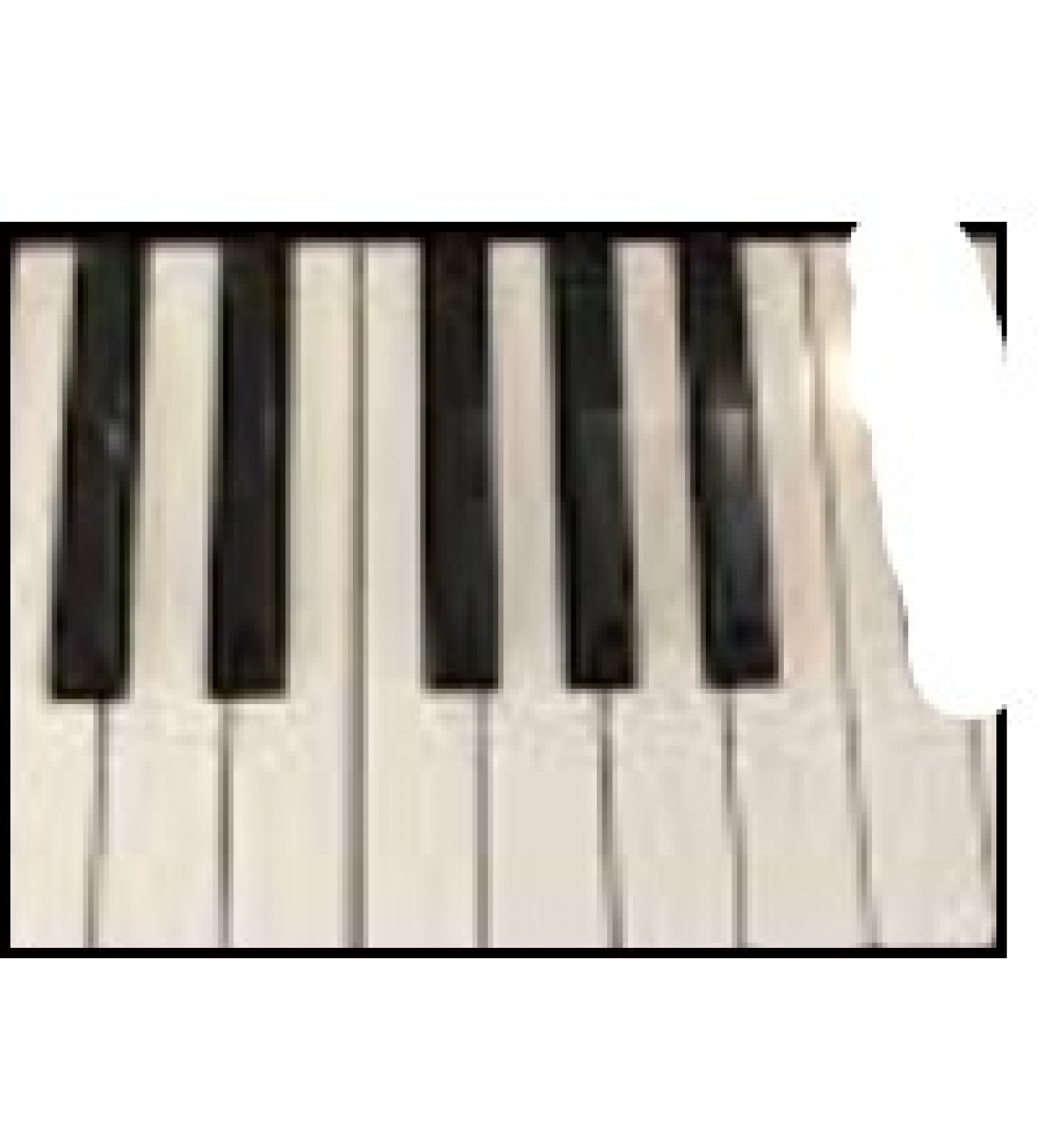 Ottava di ricambio per Korg PA900 ,PA1000, Krome 61, 73, da Do a Do - 13 note