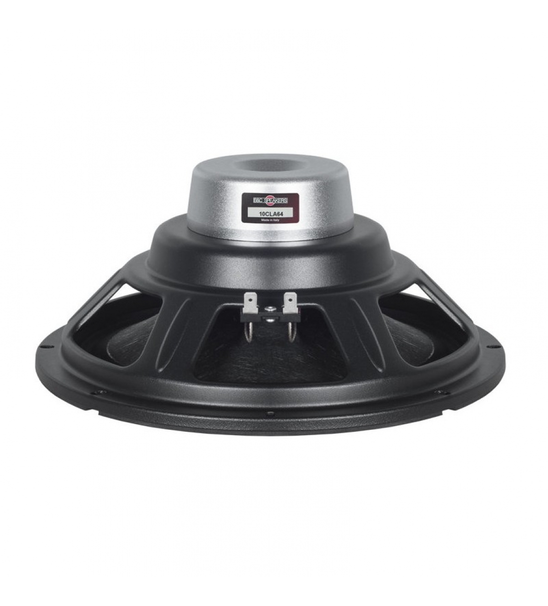 Woofer per TS210 